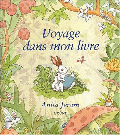couverture de : Voyage dans mon livre