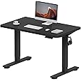 FlexiSpot E1 Plus ONE PIECE Electric Standing Desk Height Adjustable Sit Stand Desk with Memory Smart Panel(100 * 60cm, Black Frame+Black Desktop)