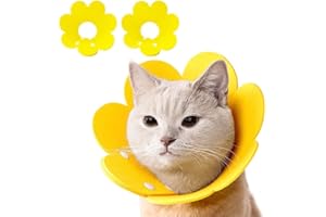 crazy bean 2pcs Collare Protettivo per Gatto Regolabile Collare Elisabettiano Cane Morbido Cono di Recupero per Animali Protettivo Forma Anti-Morso Simpatico Fiore Ferite,Yellow,M