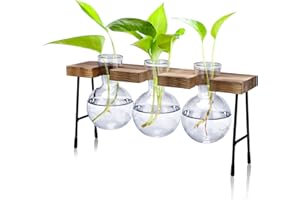 icyant Propagation Station, 3 Pcs Bulb Vase Glass Plant Propagation Station Modern Desktop Glass Planter Hydroponic Table Top Planter Small Glass Flower Vases for Home Garden Office Coffee Table Décor