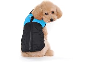 Ducomi St. Moritz Cappottino Cane con Gancio per Collare, Piumino Imbottito Inverno Cani - Gilet Giubbotto Taglia Piccola, Media e Grande - Cappotto Giubotto Impermeabile Invernale (2XL, Blue)