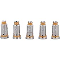 GEEKVAPE Resistenze Bobina St Per Aegis Pod Wenax Stylus Filtri Originale  (no Nicotina) (0,6 Ohm), Acciaio, 5 Unità : Amazon.it: Elettronica