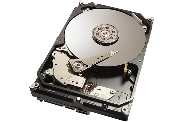 Seagate ST1000DX001 Disque dur interne 3,5" 1000 Go SATA III