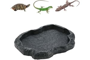 Pssopp Reptile Rock Food Dish Trinkschale Wassernapf Reptile Feeder Bowl Pet Feeder Dish für Tortoise Lizard Gecko Chameleon(M Grün)