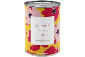 MAUVAISESGRAINES-KITS À SEMER Mauvaises Graines - Kit de Fleurs à Semer en Boîte - Graines de Fleurs Colorées - Cadeau Original, Amis, Fêtes de Famille, Anniversaire - Simple à Utiliser - 100% Fabriqué en France (Cousine)