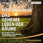 Das geheime Leben der Bäume: Was sie fühlen, wie sie kommunizieren - die Entdeckung einer verborgenen Welt