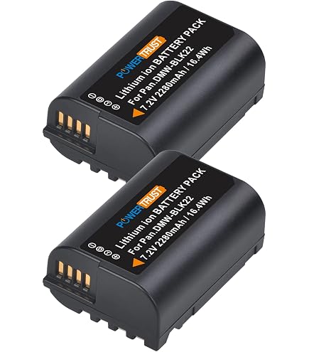 TAVT 2 Batterie 2600mAh DMW-BLK22 Con Caricatore Doppio Per Panasonic Lumix S5, GH6, G9, S9 – Ricarica USB-C E Micro USB, Protezioni Multiple