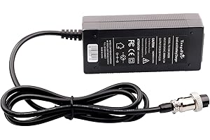 TANGSFIRE Caricatore da 24 V per Razor E150 E500 E175 PR200 E225S E325S MX350