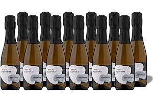 Terra Organica Prosecco D.O.C. 10.5% ABV, 12 x 20cl - Italian Light and Extra Dry Sparkling Organic Mini Prosecco Bottles - Makes for a Great Prosecco Gift Set