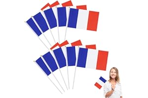 Lot de 10 petits drapeaux français avec baguette en plastique, mini drapeau français de la France, drapeau national français pour célébrer la Coupe du monde 14 x 21 cm