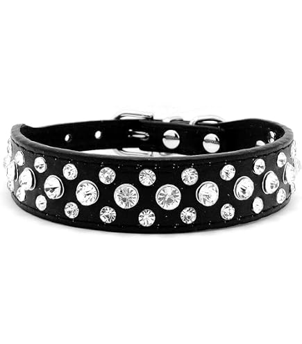 Haoyueer Nietenhalsband Für Hunde – 7,6 Cm Breit, Verstellbar