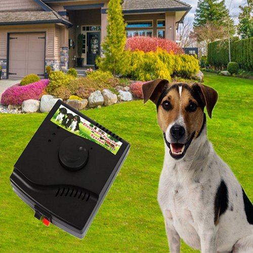 Pet-Dog-Fence-System-Smart-Underground-Dog-Fence-Device-with-Rechargeable-and-Waterproof-Collar