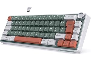 RK ROYAL KLUDGE R65 Clavier Mécanique 60% Gasket Mounted, Gamer Tri-Mode RGB Rétroéclairé, Sans Fil AZERTY QMK/Via Hot-Swap, Compact PBT Keycaps, Creamy Switch