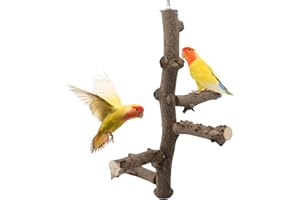 Seahelms Bird Perch Stand Toy, Natural Wood Parrot Perch Stand for 3-4pcs Small Parrots, Bird Cage Branch Perch Accessories for Parrots Parakeets Cockatiels Conures Macaws Finches Love Birds
