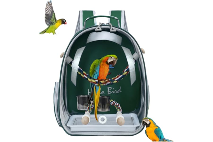 Bird Traval Carrier Cage, Multi Vent Holes Clear Space Capsule Astronaut Backpack to Carry Parakeet Cockatiel Parrot with Metal Tray Wood Perch, Vet Transport Book Bag (Green)