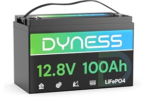 Dyness Batterie Lithium 12V 100Ah LiFePO4 avec BMS 100A, Protection Basse Température, Pour Camping Car, Système Solaire, Caravane, Bateau, Hors-Réseau