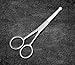 Classic Ear & Nose Safety Scissors - Personal Care Facial Hair, Eyebrow & Mustache Trimming - Top Quality Stainless Steel Resists Rust & Tarnish ...