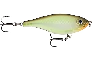 Rapala - Esca da Pesca Artificiale Spinning X-Rap Twitchin’ Shad - Esca Finta di Simulazione Trasparente per Pesca in Mare - Profondità di Nuoto 0.3 à 0.6m - 8cm/13g - Prodotta in Estonia