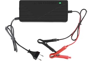 Batteriladdare för litiumjärnfosfat 14,6 V 10 A, hög effektivitet, LED-indikator, med överhettningsskydd, optimerad för LiFeP
