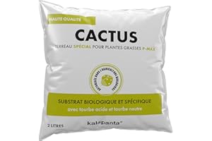 Kalapanta Terreau Cactus, Plantes Grasses, Succulentes et Cactées, 2L - 100% Naturel et Biologique, Parfait pour Les Plantes succulentes et Les Cactus d'intérieur et d'extérieur