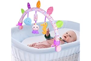 CATERBEE Giocattoli da Viaggio per passeggini per Neonati e Bambini ， Accessori per Culla e passeggini e carrozzine Giocattoli per attività sensoriali e motorie per Interni ed Esterni. (Ocean)