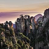 Image de Lao Tse 2017 (Mindful Editions)