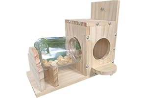 Blogiiup Mangeoire d'écureuil Chariot d'écureuil en Bois mangeurs d'écureuil Transparent pour Jardin extérieur Yard de maïs d'arachide d'écureuil mangeur d'écureuil écureuil