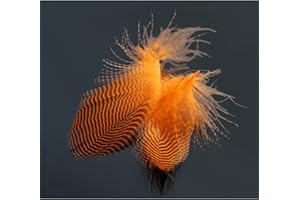 Tigofly 40 pcs/lot 4 colors Natural Barred Mallard Duck Flank Feathers Wild Goose Hair Wings Fly Tying Materials