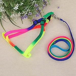 ROYALE CAT Colourful Adjustable Nylon Puppy Leash Harness 1 Set