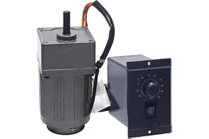 ELILANEY 6 W induktionsväxelmotor, 220 V AC, enfas, 60 x 60 mm, justerbar hastighetsram, växelreducerande motor 2IK6GN-C CW C