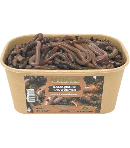 Einsteiger Wurmzucht - Starter-Set Mit 0,5 Kg Wurmm Produktbild-Vorschau 14