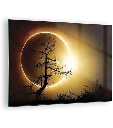 Tulup Glas-Wandbild 100x50 Cm - Baumallee Grün, Gehärtetes Sicherheitsglas, 3D-Effekt, Für Küche & Wohnzimmer