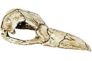 COSYALL Aquarium Dekoration Vogel Schädel Versteck Höhle Modell Harz Reptilien Lebensraum Dekorativ für Fische Garnelen Eidechsen Geckos Schlangen Spinnen Frösche Terrarium Landschaft