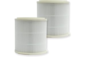 PUREBURG Lot de 2 filtres HEPA de rechange compatibles avec purificateur d'air INTEY NY-BG55, filtre H13 en 4 étapes, charbon actif, purification de l'air, poussière, COV, odeur PM2.5, fumée