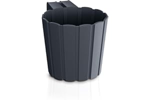 PROSPERPLAST Maceta BOARDEE HOOK 1,4L., dimensiones (mm) 144x212x130, color Antracita