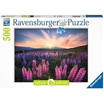 Puzzle adulte panoramique orage d ete nature edition 500 pcs