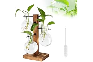 KITERI Plant Propagation Stations, 4 Bulb Vintage Avocado Vase Modern Glass Planter Desktop Propagation Stations Plant Terrarium with Wooden Stand for Hydroponic Plants Cuttings Office Home Decor