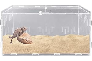 GOMETY Boîte d'alimentation en acrylique pour reptiles - 30 x 20 x 15 cm - Pour escargots, terrariums, insectes, reptiles, terrarium - Boîte de transport pour tortues d'eau, araignées, hamsters, ermites,