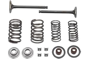 WOOSTAR Culasse 66mm Soupape Assemblée Remplacement pour 70cc 90cc 110cc Taotao Roketa Sunl Chinois Mini ATV Quad Moteur Horizontal Pocket Pit Bike Dirt Bike