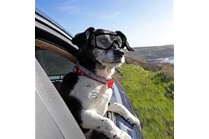 PETLESO Dog Goggles Large Eye Protection Dog Sunglasses for Middle/Large Dogs