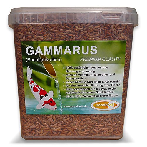 Gammarus (Bachflohkrebse) pondovit - Premiumsnack 5000 ml - Koi Leckerbissen, Koifutter