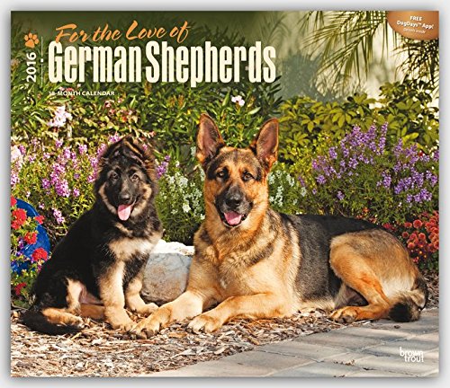 German Shepherds - For the love of 2016 - Deutsche Schäferhunde - 18-Monatskalender mit freier DogDays-App: Original BrownTrout-Kalender - Deluxe [Mehrsprachig] [Kalender] (Deluxe-Kalender)