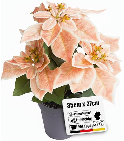 Amazon.de: Seidenblumen Ro Weihnachtsstern 40cm rot mit 10 Blten im Topf  GA knstliche Blumen Pflanzen Kunstblumen Poinsettie