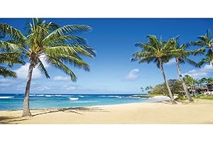 Renaiss 3x1.5m Sommer Strand Hintergrund Tropischer Ozean Sandstrand Palmen Fotografie Hintergrund Kinder Erwachsene Urlaub Reisen Flitterwochen Vinyl Photo Booth Shoot Studio Requisiten