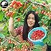 Produktbild Shopmeeko Acquista Cherry Fruit Tree Semente 120pcs Plant Cerasus Pseudocerasus für Kirsche