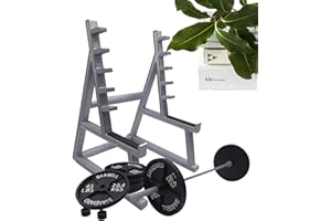 PACIENJO Squat Rack porte-stylo, ornements avec haltères et poids, bureau, cadeau amusant pour les amateurs fitness et les fans d'haltérophilie