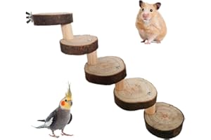 Fayemint Scala in Legno Naturale per Animali, 5 Scale per Criceti, Gerbilli, Pappagalli - Scaletta per Piccoli Animali