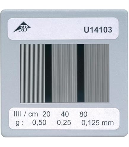 3B Scientific Wägesatz 100g-2000g - Präzisions-Gewichte Für Labor & Unterricht