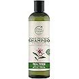 Petal Fresh Pure Scalp Treatment Tea Tree Shampoo 355 ml For Itchy & Dry Scalp, Anti Dandruff | Sulphate, Silicones & Paraben Free | 100% Vegan & Cruelty Free