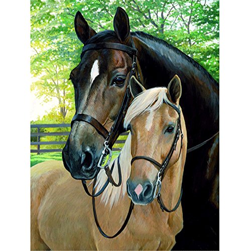 MXJSUA 5d Diamant Peinture Pleine Foret Kits pour Adultes Strass Collez-Le à Broder au Point de Croix Arts Craft pour Home Décor Mural 30,5 x 40,6 cm Cheval Noir Cheval Blanc